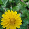Picasa 2.7